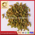 Hot Sale Good Quality Raisins From China